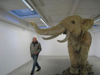 Michel  Nau � Caverne  Galerie Kamel Mennour Paris 2009